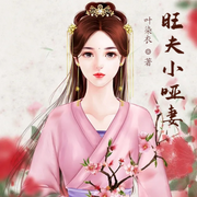 旺夫小哑妻-海霖-小酷说书，海霖