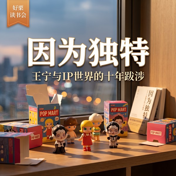 好栗读书会|因为独特:王宁与IP世界的十年跋涉