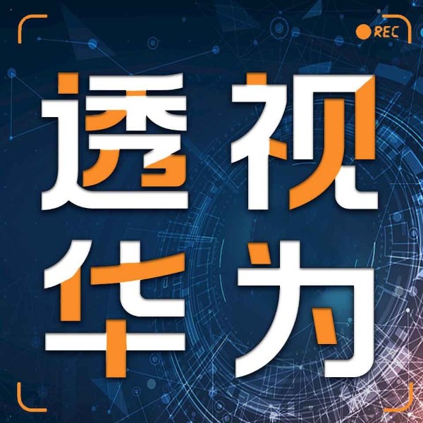 透视华为:商业领袖背后的经济学