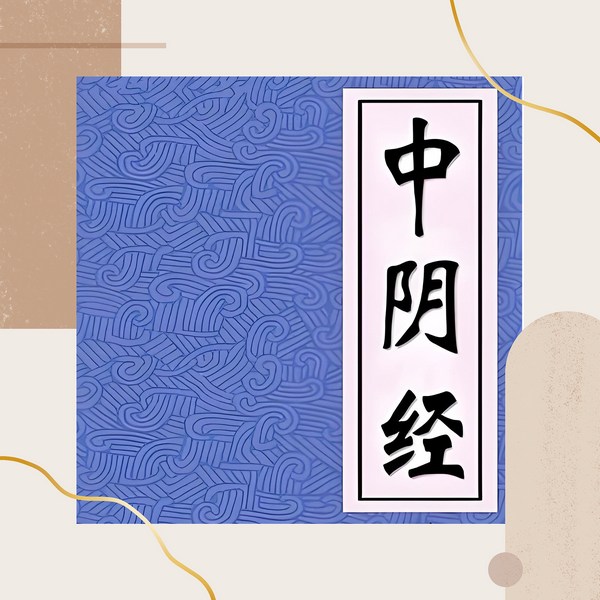 中阴经