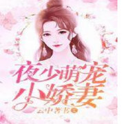 夜少萌宠小娇妻-佚名-火凤凰08