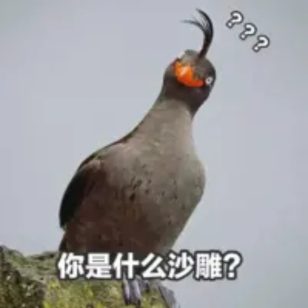 沙雕段子|生活是个囧tail|1分钟笑话