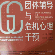 团体辅导与危机心理干预--梦小七-佚名