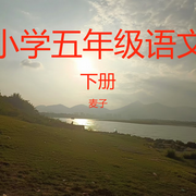 小学语文五年级下册-佚名-麦子