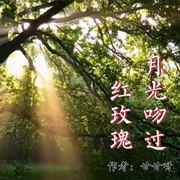月光吻过红玫瑰-佚名-留逝-尚可儿