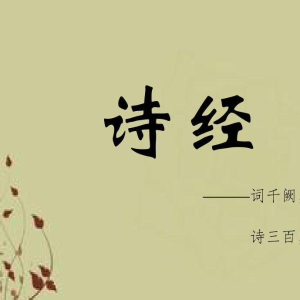 诗经 国风 召南