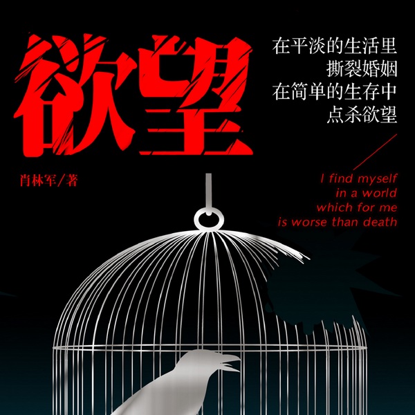 欲望|半路夫妻的婚姻较量|爆款|围城|中年欲望