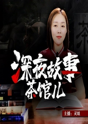 深夜故事茶馆儿|诡秘调查组|民间恐怖怪谈录|灵姐姐-洪宇-鲸鱼有声书场
