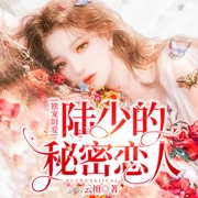 独宠旧爱·陆少的秘密恋人|现代言情|豪门|AI专辑--钟富庚