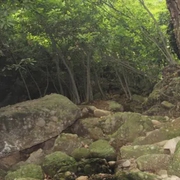 南平|武夷源-佚名-恋景学院