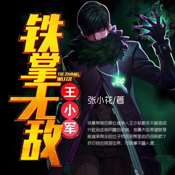 铁掌无铁王小军