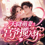 天降萌妻：宫爷揽入怀-佚名-板板心