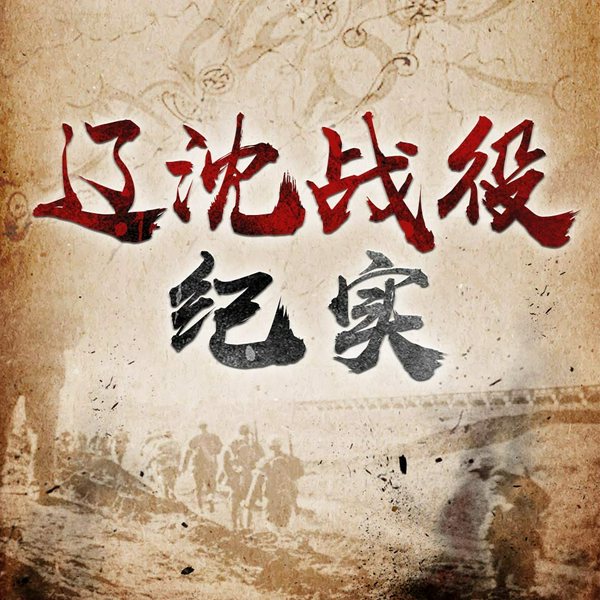 辽沈战役纪实|解放战争 中国近现代史
