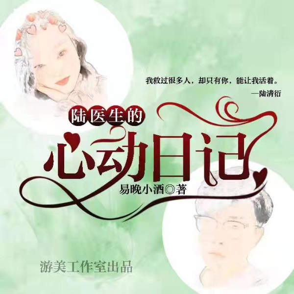 陆医生的心动日记