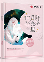 他在月光里降落-薄荷灯盏-蜜糖329