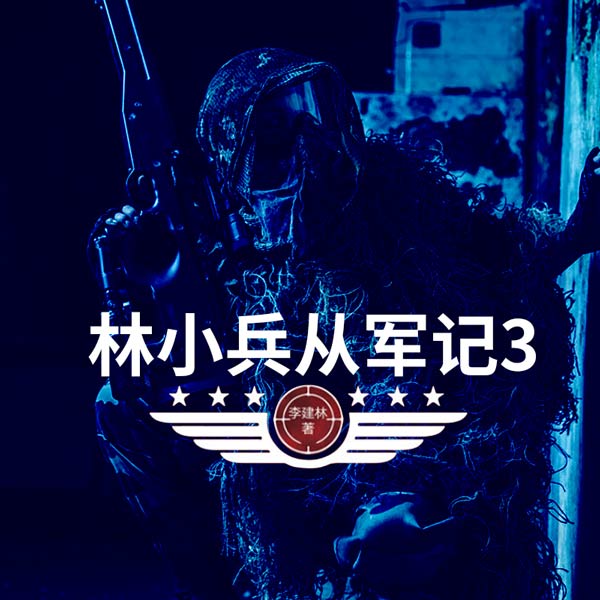 林小兵从军记3