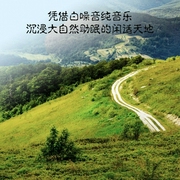 憑借白噪音純音樂，沉浸大自然助眠的閑適天地-佚名-主播點閱有聲