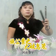 施公案之大破乌笼|河南坠子|江淑芳主演-佚名-东方大剧院