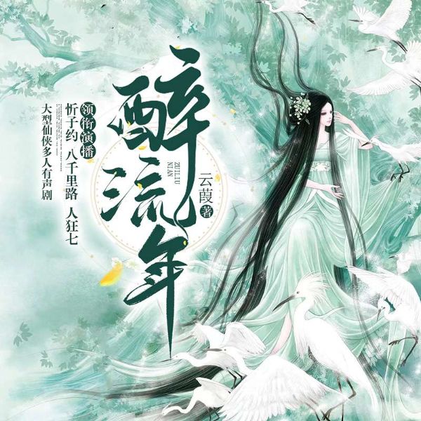 醉流年