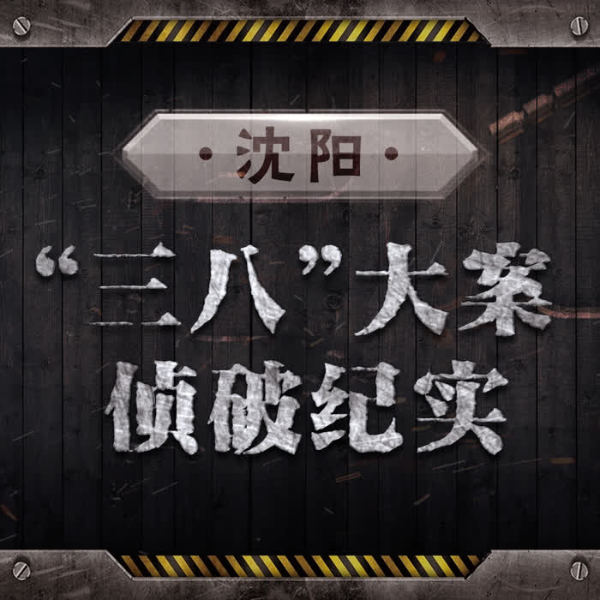 沈阳|三八”大案侦破纪实