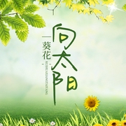葵花向太陽-張曙光-芭莎寶貝
