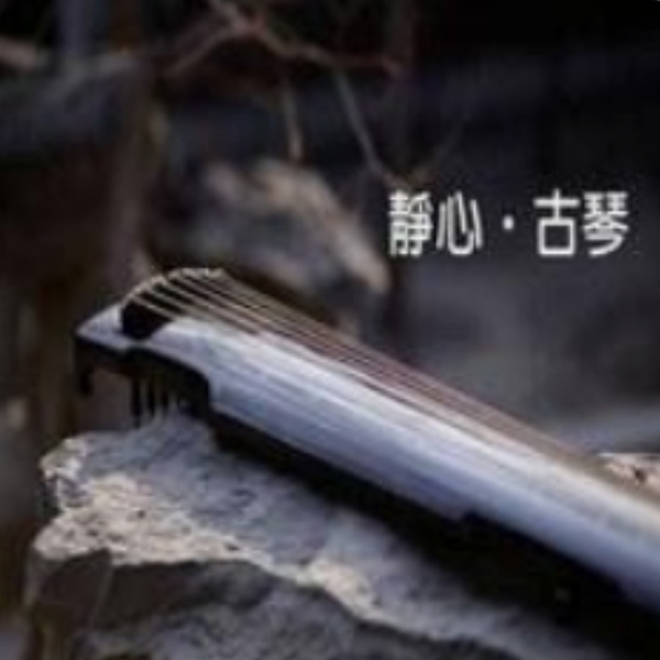 静心古琴,放松心情