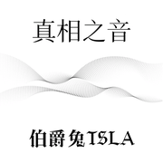 真相之音|伯爵兔TSLA-佚名-海畔的伯爵兔Tsla