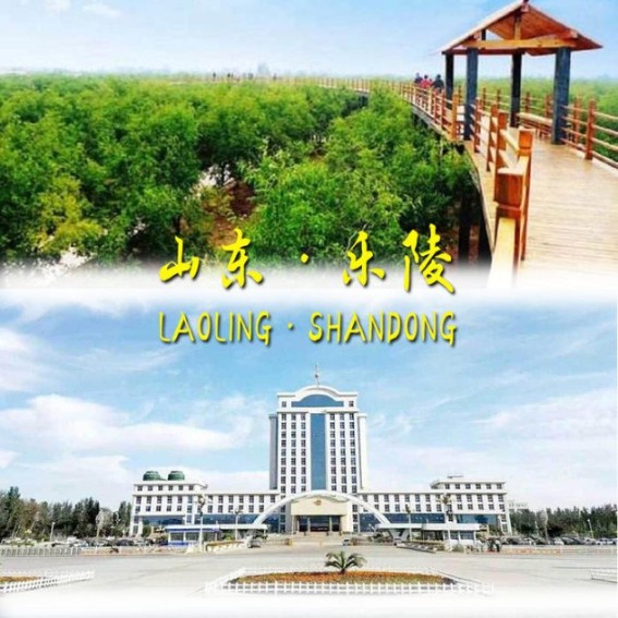 我的家乡（山东乐陵）-佚名-顾晓延