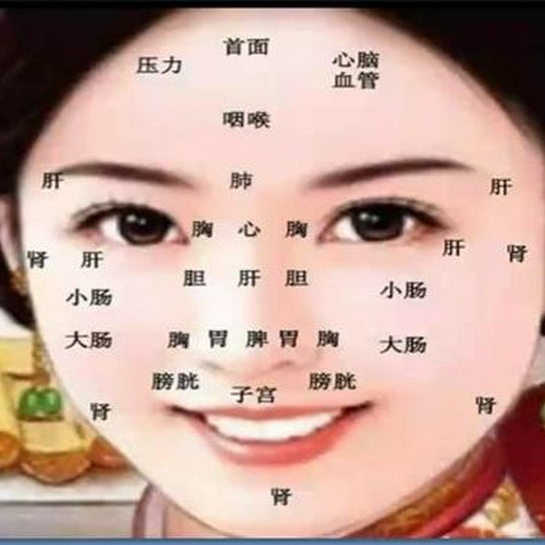 中医面诊大全|简单实用|传统中医绝学|传承中华智慧
