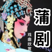 蒲剧丨地方戏曲欣赏-佚名-酒酒有声