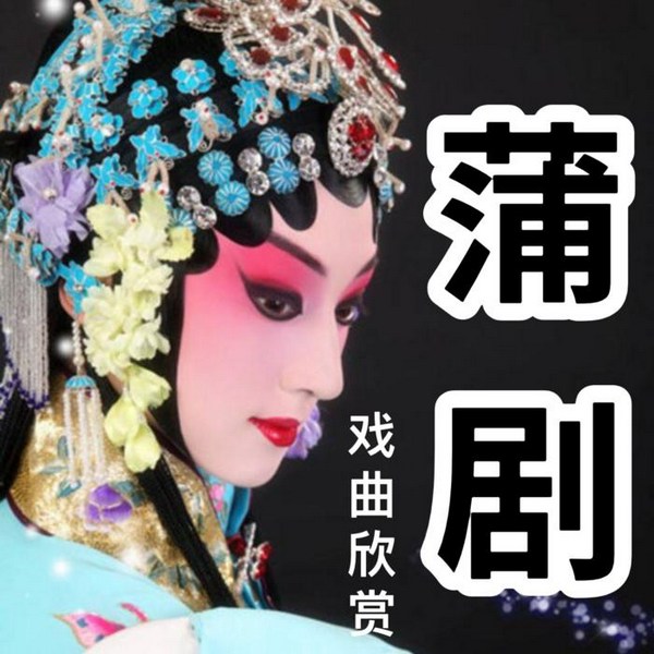蒲剧|地方戏曲欣赏