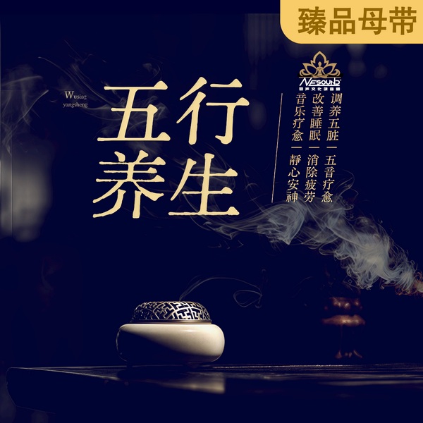 五行养生|音乐疗愈|静心安神|改善睡眠‌|消除疲劳|调养五脏