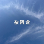 杂阿含--浅浅旦旦-佚名