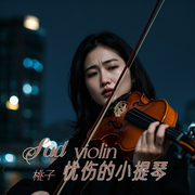 忧伤的小提琴|用音乐治愈每个失眠的夜晚-佚名-环尼疗愈
