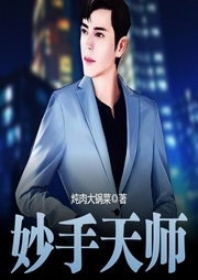 妙手天师-炖肉大锅菜-思刻