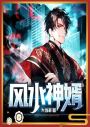 风水神婿-大当家-杭州燚创文学