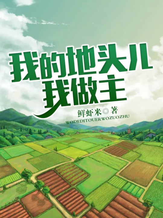 我的地头儿我做主-佚名-主播心冢