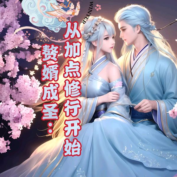 赘婿成圣：从加点修行开始