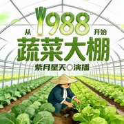 1988从蔬菜大棚开始|创业|乡村|经营|重生|年代|种田--喜马拉雅