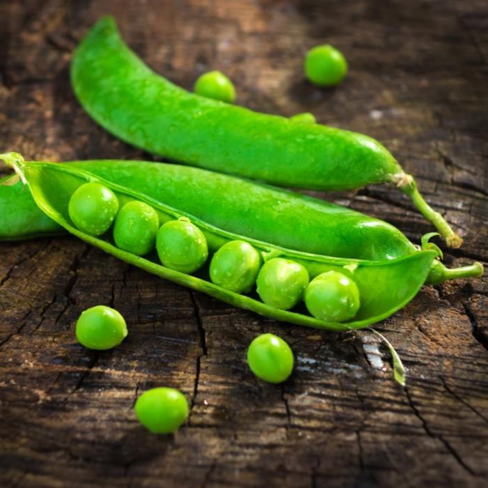 在线收听成语接龙-锦瑟年华1,主播玉豌豆-玉豌豆,懒人听书官网 - 懒人