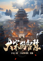 大宋的智慧|多人精品有声剧|白金作品|历史玄幻-孑与2-三皮哥
