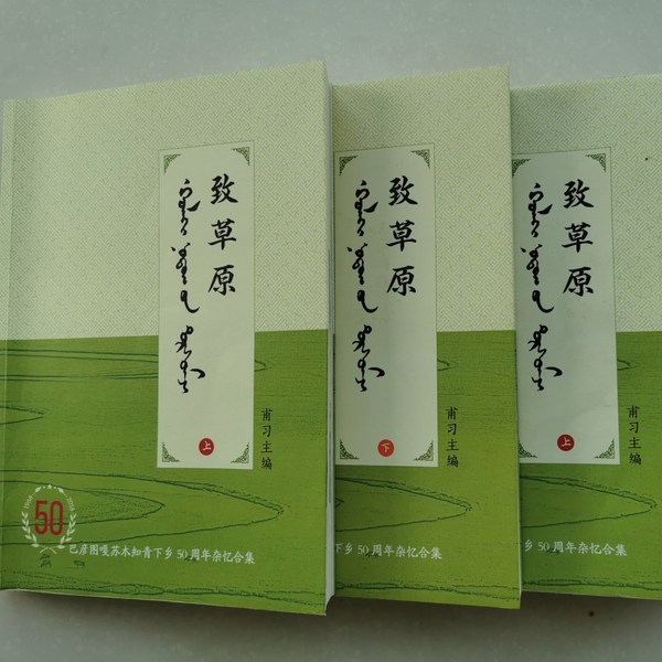 致草原|年代文|青春文学|知青杂忆合集