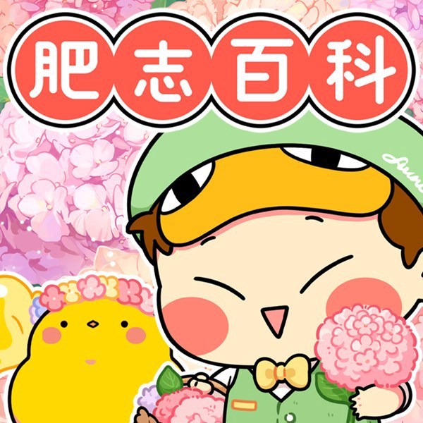 肥志百科
