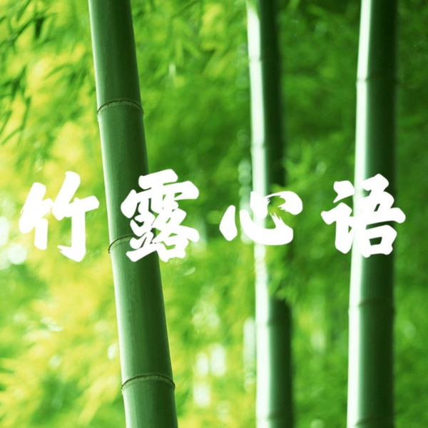 竹露心语