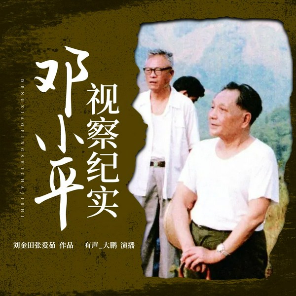 邓小平视察纪实