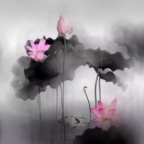 菜根谭