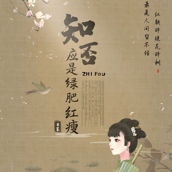 明兰庶女传|知否原著|古代宅斗