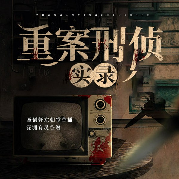 重案刑侦实录|连环杀人案|神秘人|165开始破案|圣创轩左朝堂播讲