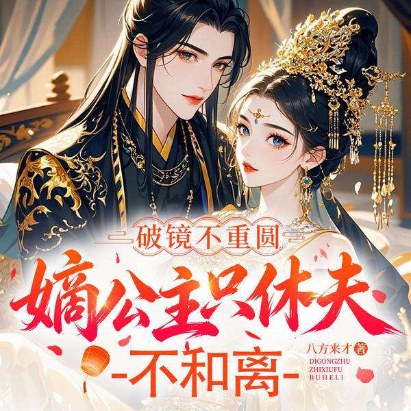 破镜不重圆,嫡公主只休夫不和离|追妻火葬场|重生