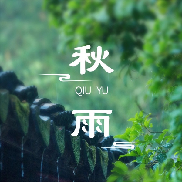秋雨,雨声催眠|大自然的声音|白噪音